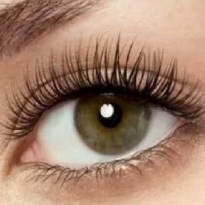 Meet your Posher, Divine